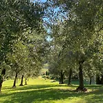 בית חווה Podere Casanuova סן ג'ימיניאנו
