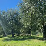 Podere Casanuova בית חווה