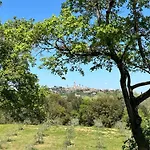 Podere Casanuova