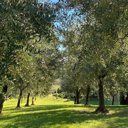 Séjour à la ferme Podere Casanuova San Gimignano