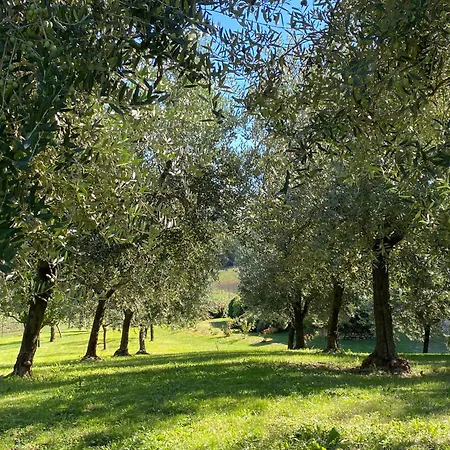Podere Casanuova * San Gimignano