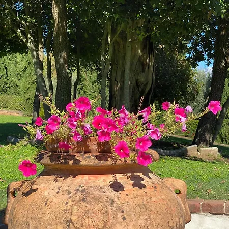 Podere Casanuova Farm stay