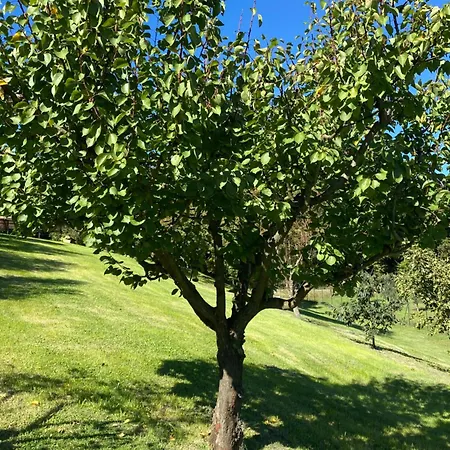 Séjour à la ferme Podere Casanuova *