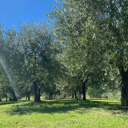 Podere Casanuova Séjour à la ferme