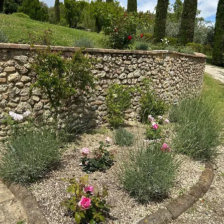 Farm stay Podere Casanuova *