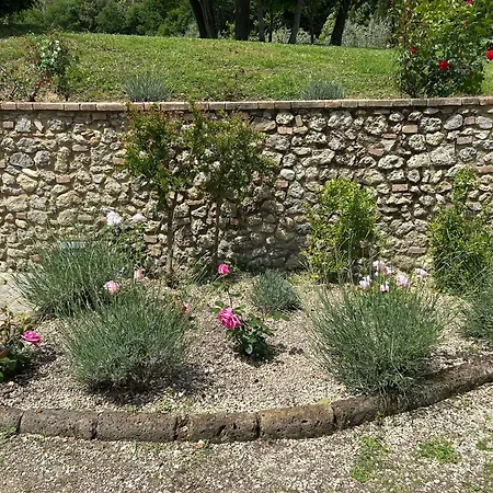 Podere Casanuova Farma San Gimignano