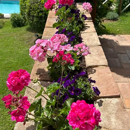 Farm stay Podere Casanuova *