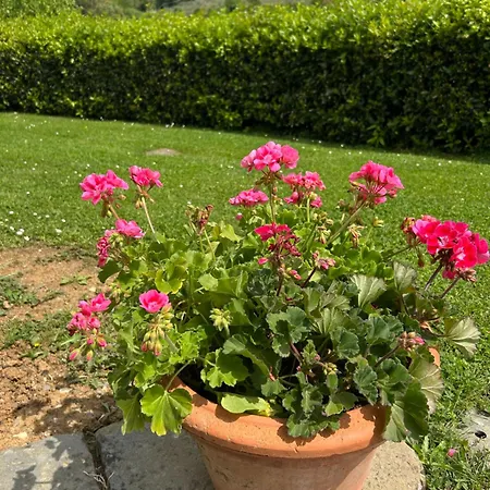 Podere Casanuova Farm stay *