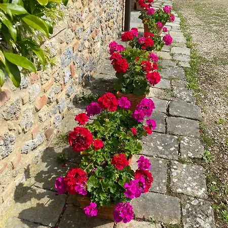 Podere Casanuova Farm stay