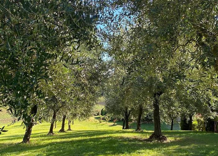 Farmház Podere Casanuova San Gimignano