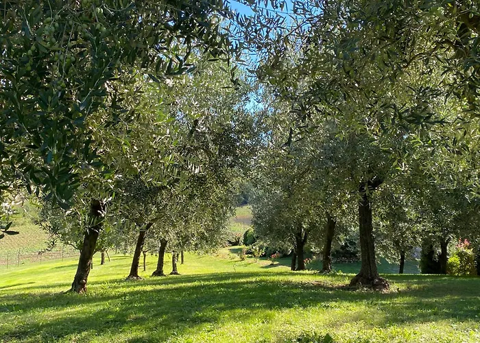 Podere Casanuova * San Gimignano