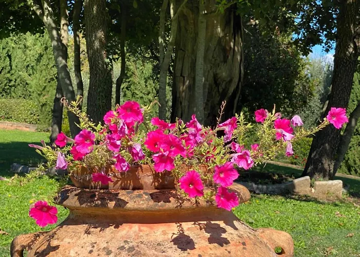 Podere Casanuova Farmház