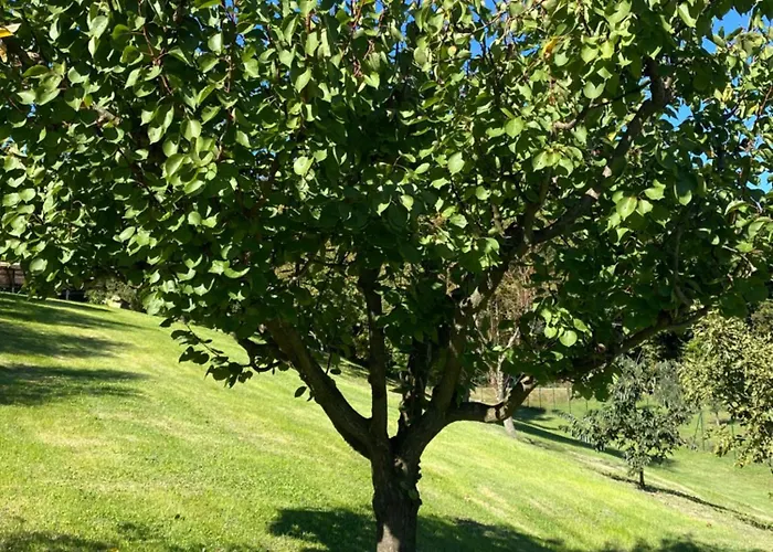 Farmház Podere Casanuova *