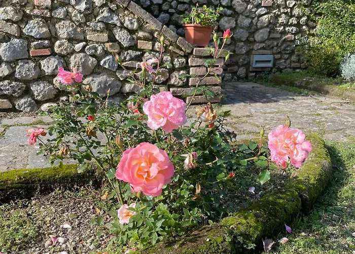 Podere Casanuova * San Gimignano