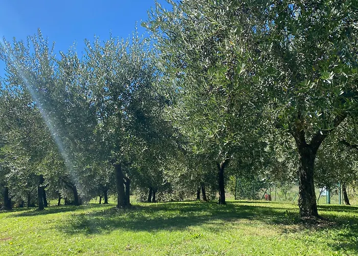 Podere Casanuova Farmház