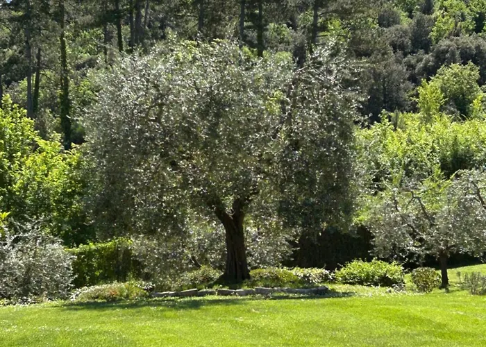 Farmház Podere Casanuova *