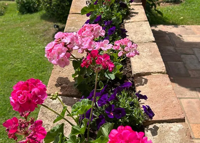 Farmház Podere Casanuova *