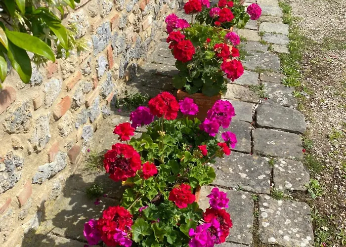 Podere Casanuova Farmház