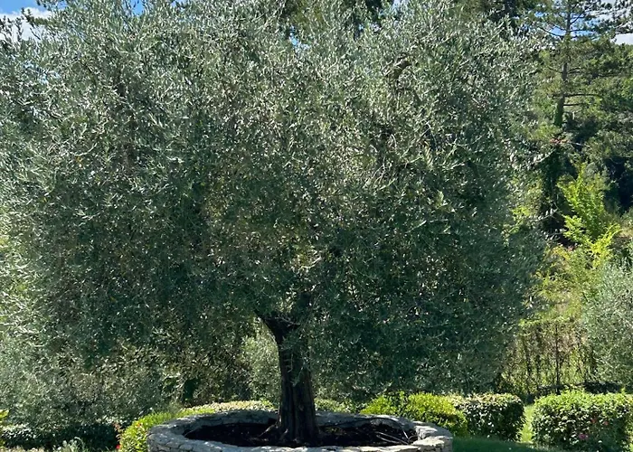 Podere Casanuova Farmház *